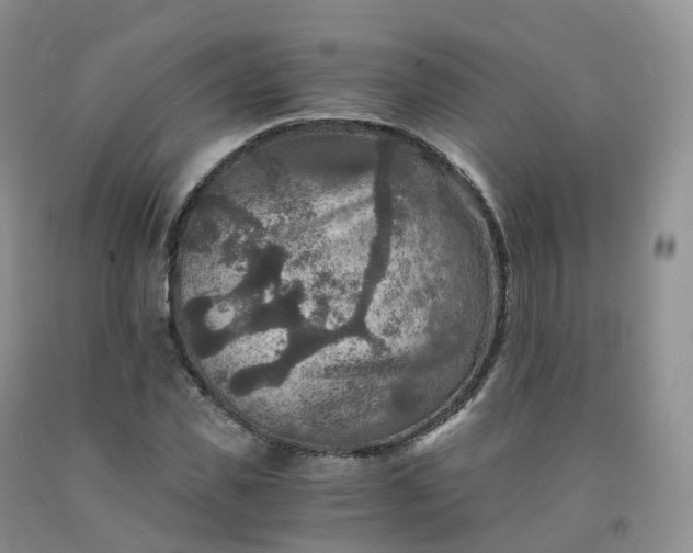 X0000092000925200709201506