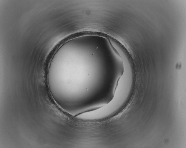 X0000092000926200709201506