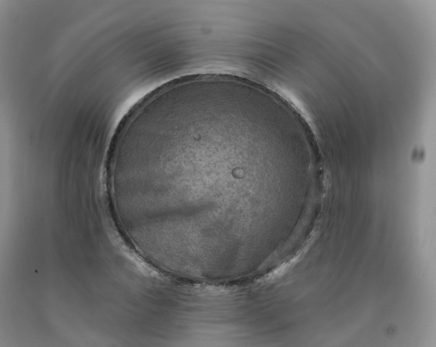 X0000092000928200709201506