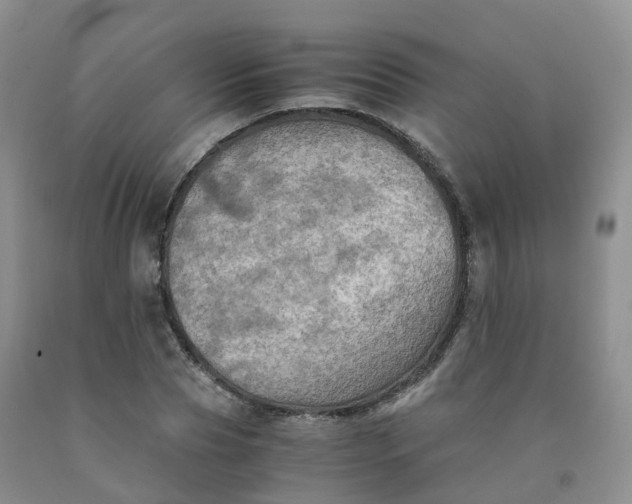 X0000092000929200709201506