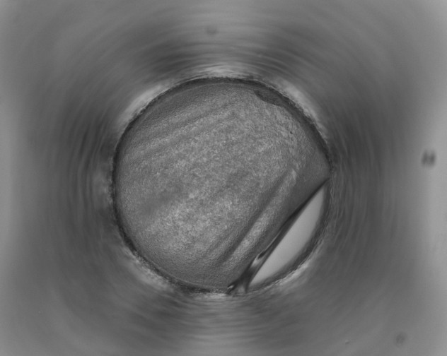 X0000092000930200709201506