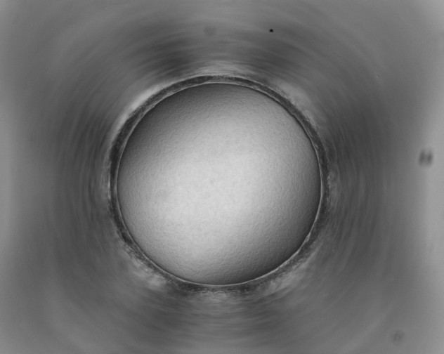 X0000092000931200709201506