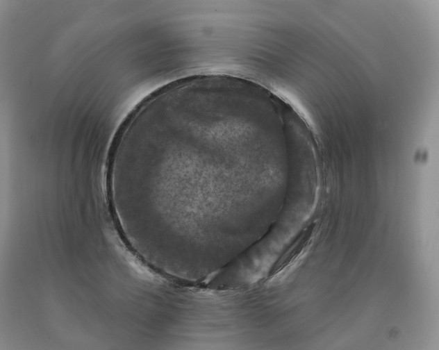 X0000092000932200709201506