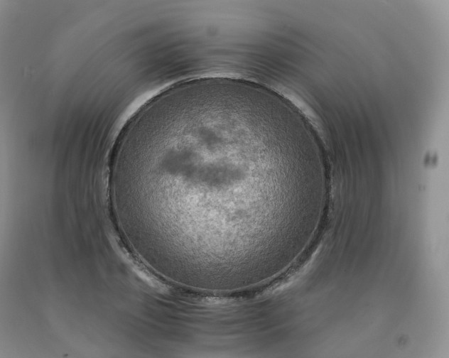 X0000092000933200709201506