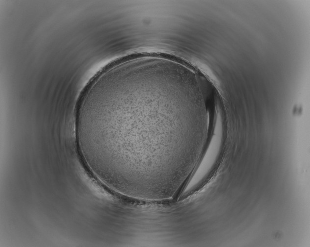 X0000092000934200709201506