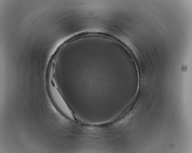 X0000092000935200709201506