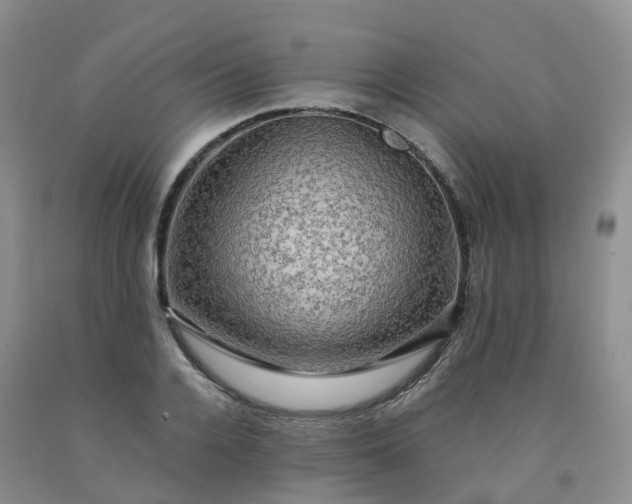 X0000092000936200709201506