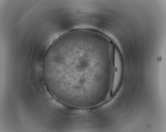 X0000092000937200709201506