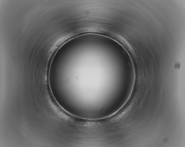 X0000092000938200709201506