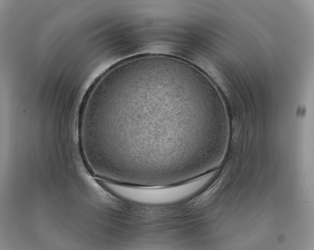 X0000092000939200709201506