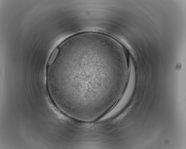 X0000092000940200709201506