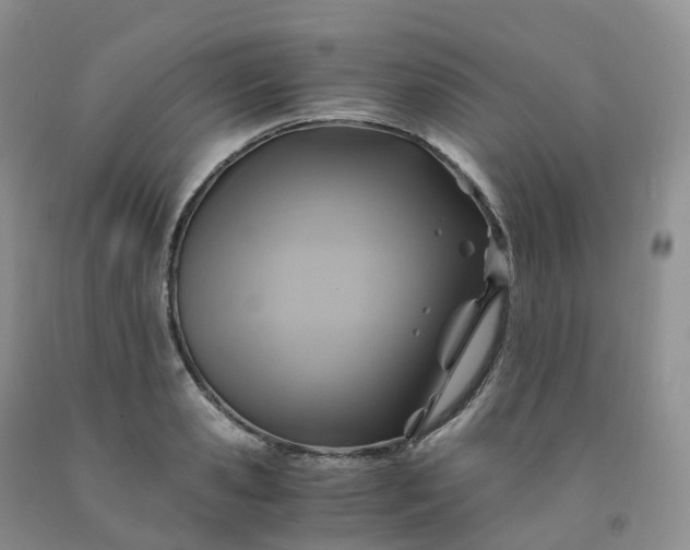 X0000092000941200709201506