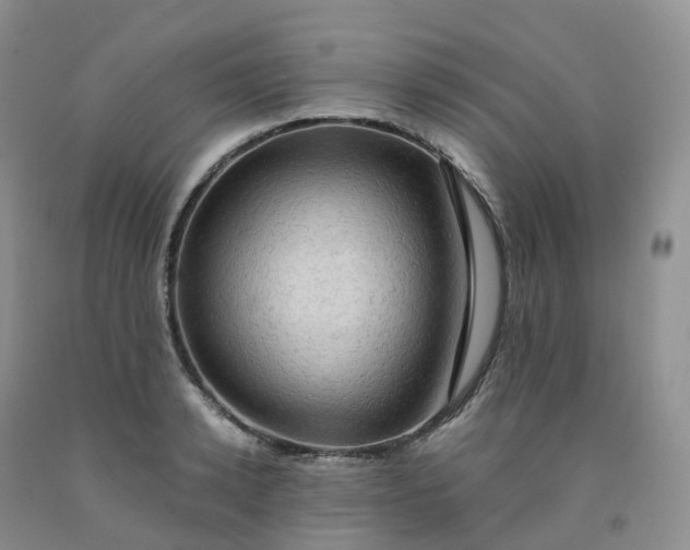 X0000092000942200709201506