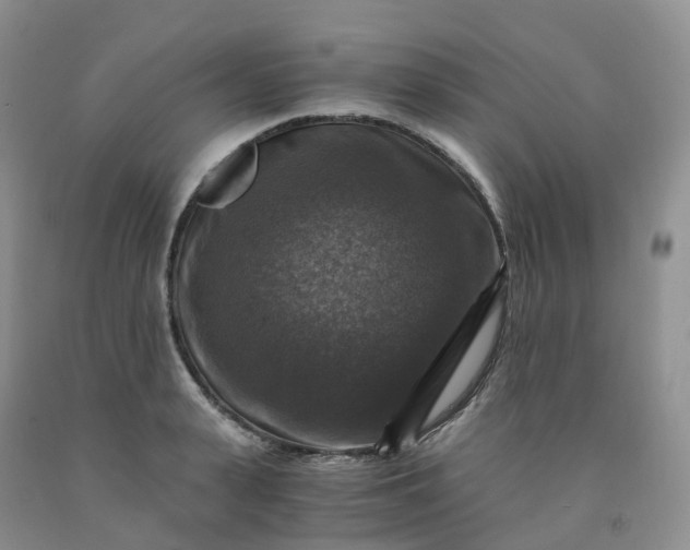 X0000092000943200709201506