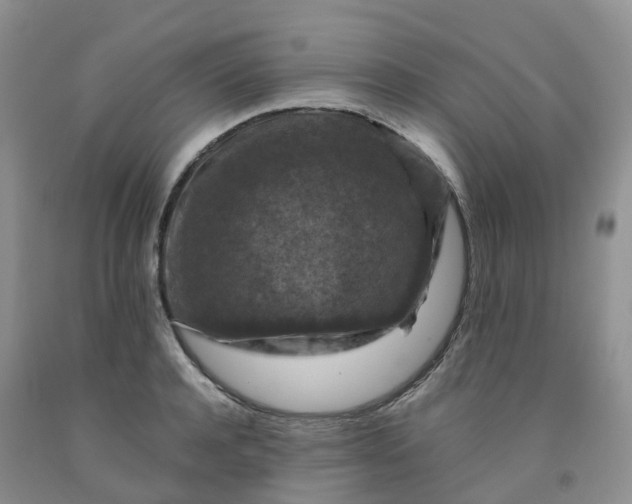 X0000092000944200709201506