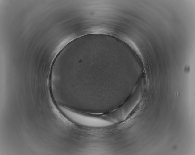 X0000092000946200709201506