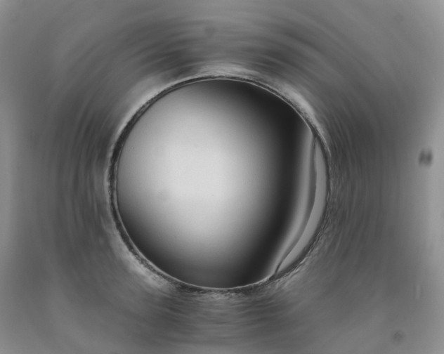 X0000092000947200709201506