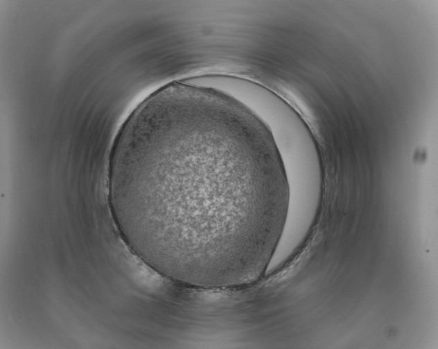 X0000092000948200709201506