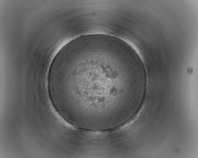 X0000092000949200709201506