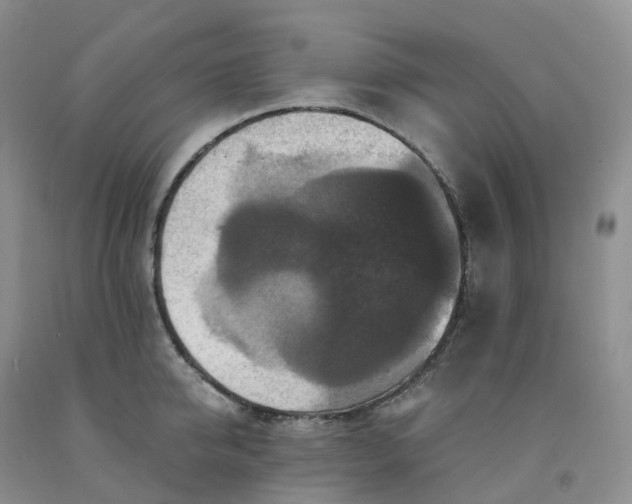 X0000092000950200709201506