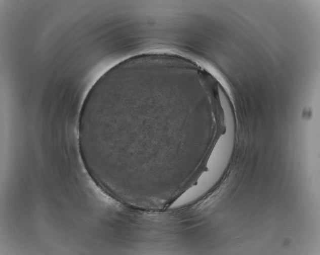 X0000092000951200709201506