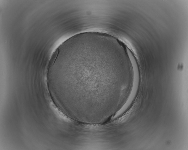 X0000092000952200709201506