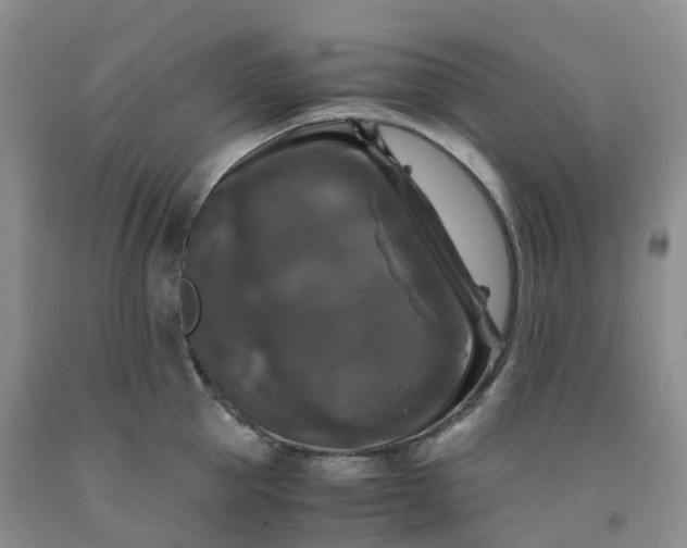 X0000092000953200709201506