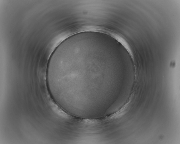 X0000092000954200709201506