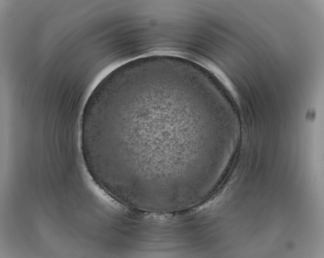 X0000092000955200709201506