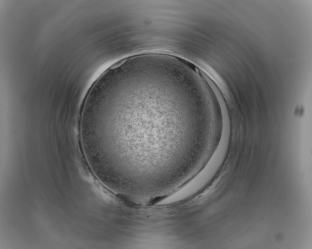 X0000092000956200709201506