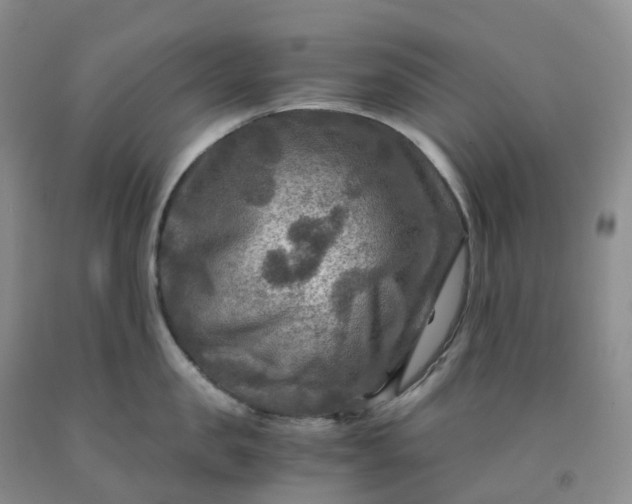 X0000092000957200709201506