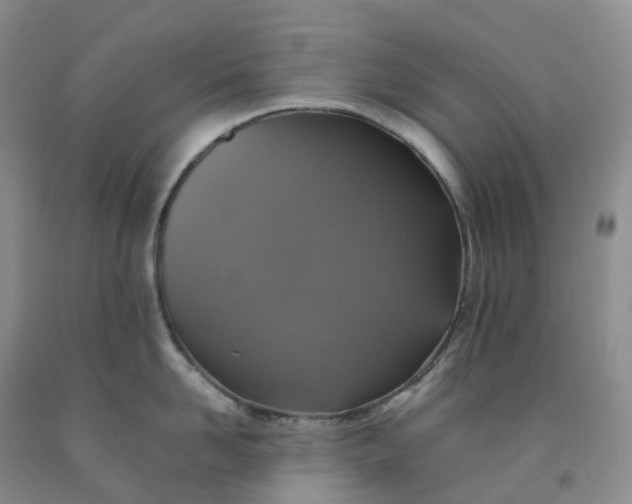 X0000092000958200709201506