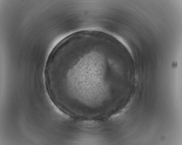 X0000092000959200709201506