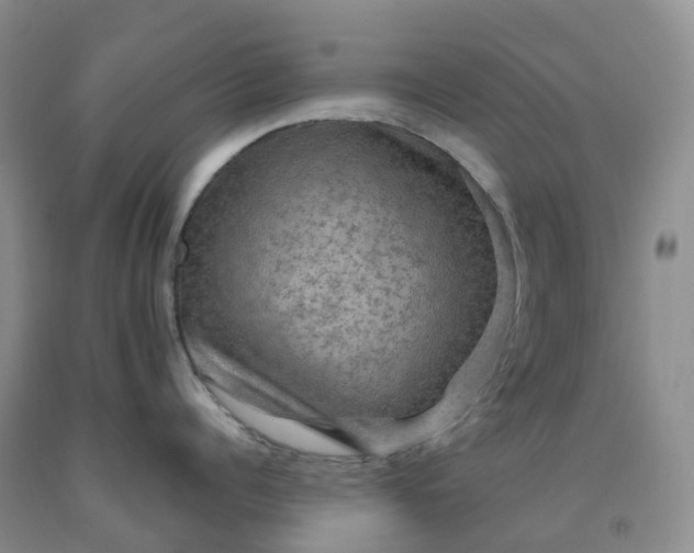 X0000092000960200709201506