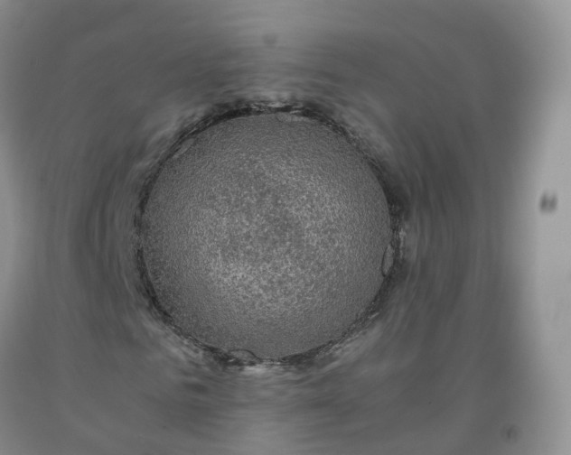 X0000092000961200709201506