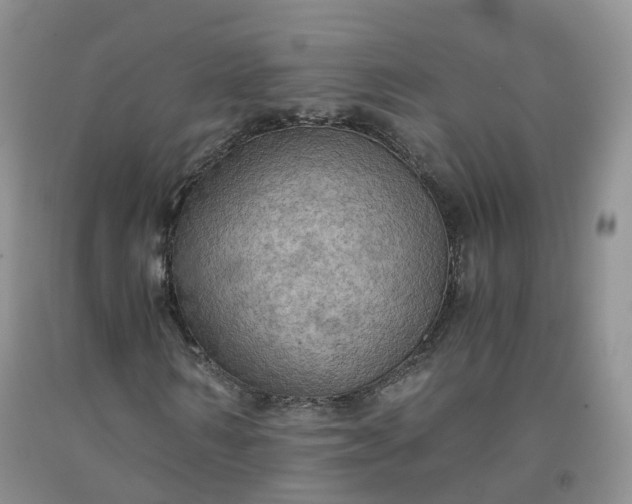 X0000092000962200709201506