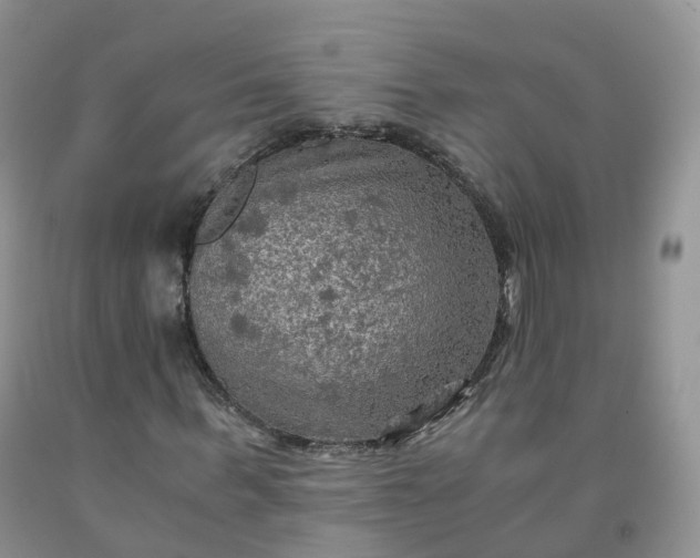 X0000092000963200709201506