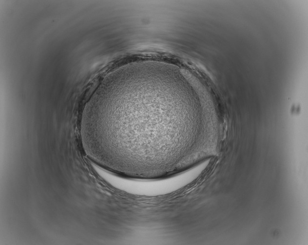 X0000092000965200709201505