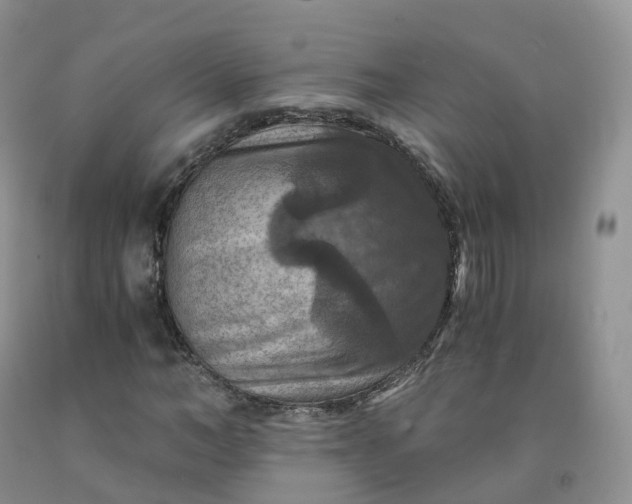 X0000092000966200709201505