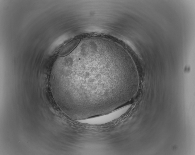 X0000092000967200709201505