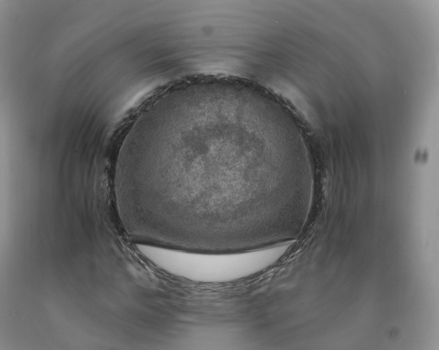 X0000092000968200709201505