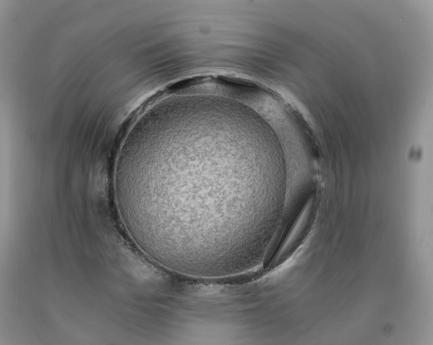 X0000092000969200709201505