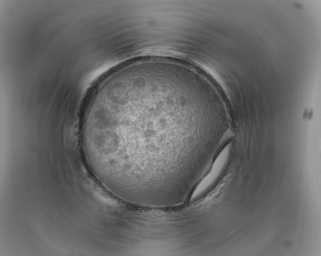 X0000092000971200709201505