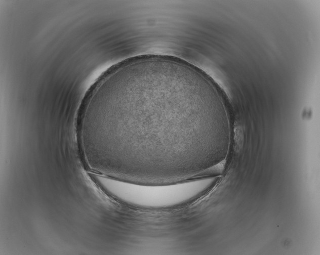 X0000092000972200709201505