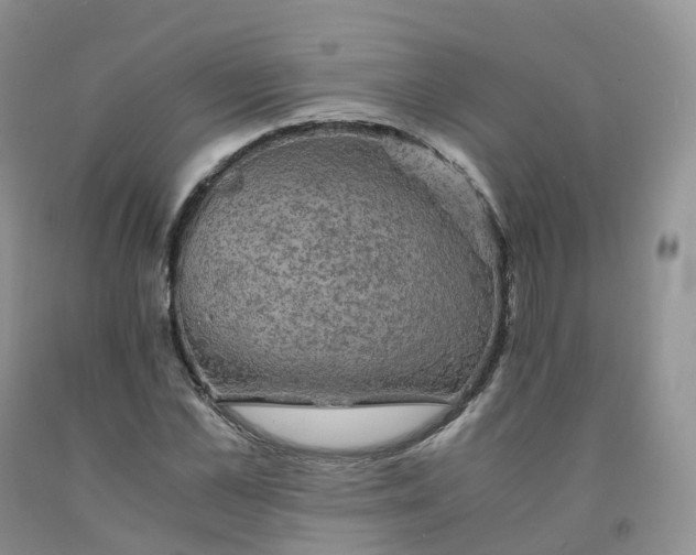 X0000092000973200709201505