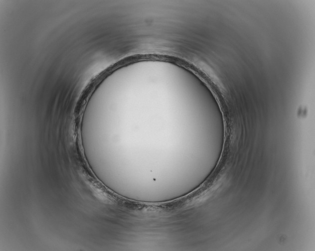 X0000092000974200709201505