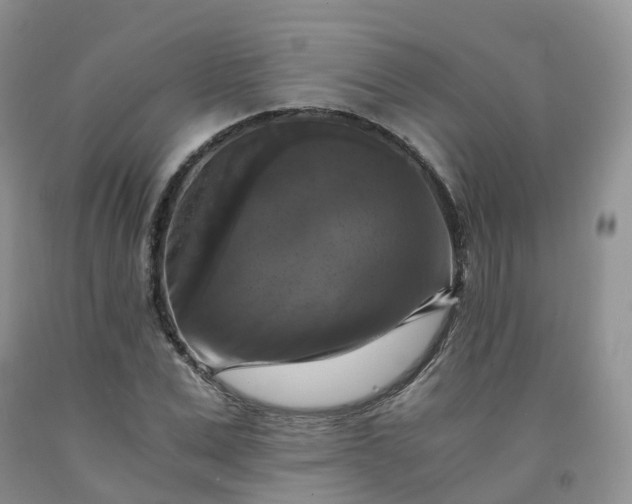 X0000092000975200709201505