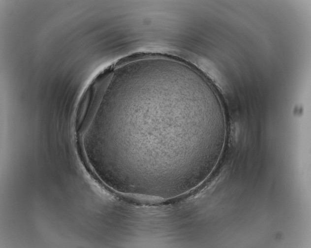 X0000092000976200709201505