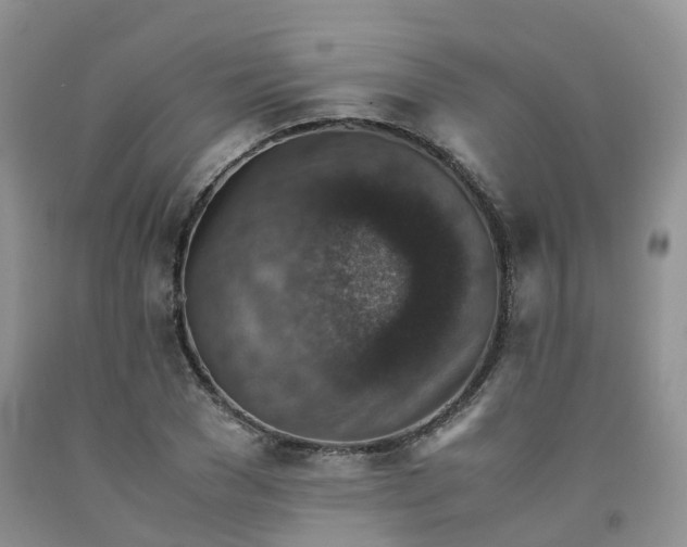 X0000092000977200709201505