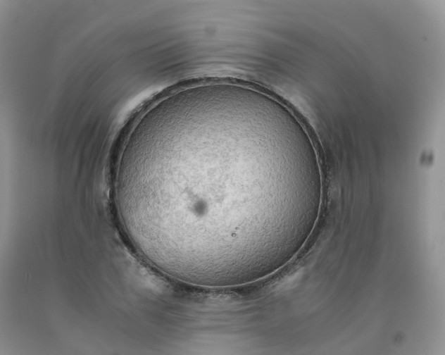 X0000092000979200709201505